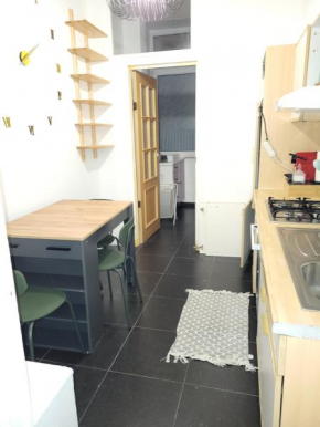 appartement style haussmannien 1 bedroom